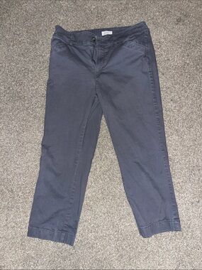 LOFT Women's Ankle Pants in Charcoal